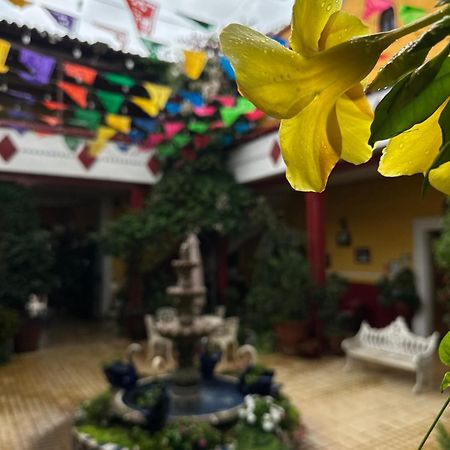Copa De Oro Hotel Boutique Mascota Ngoại thất bức ảnh