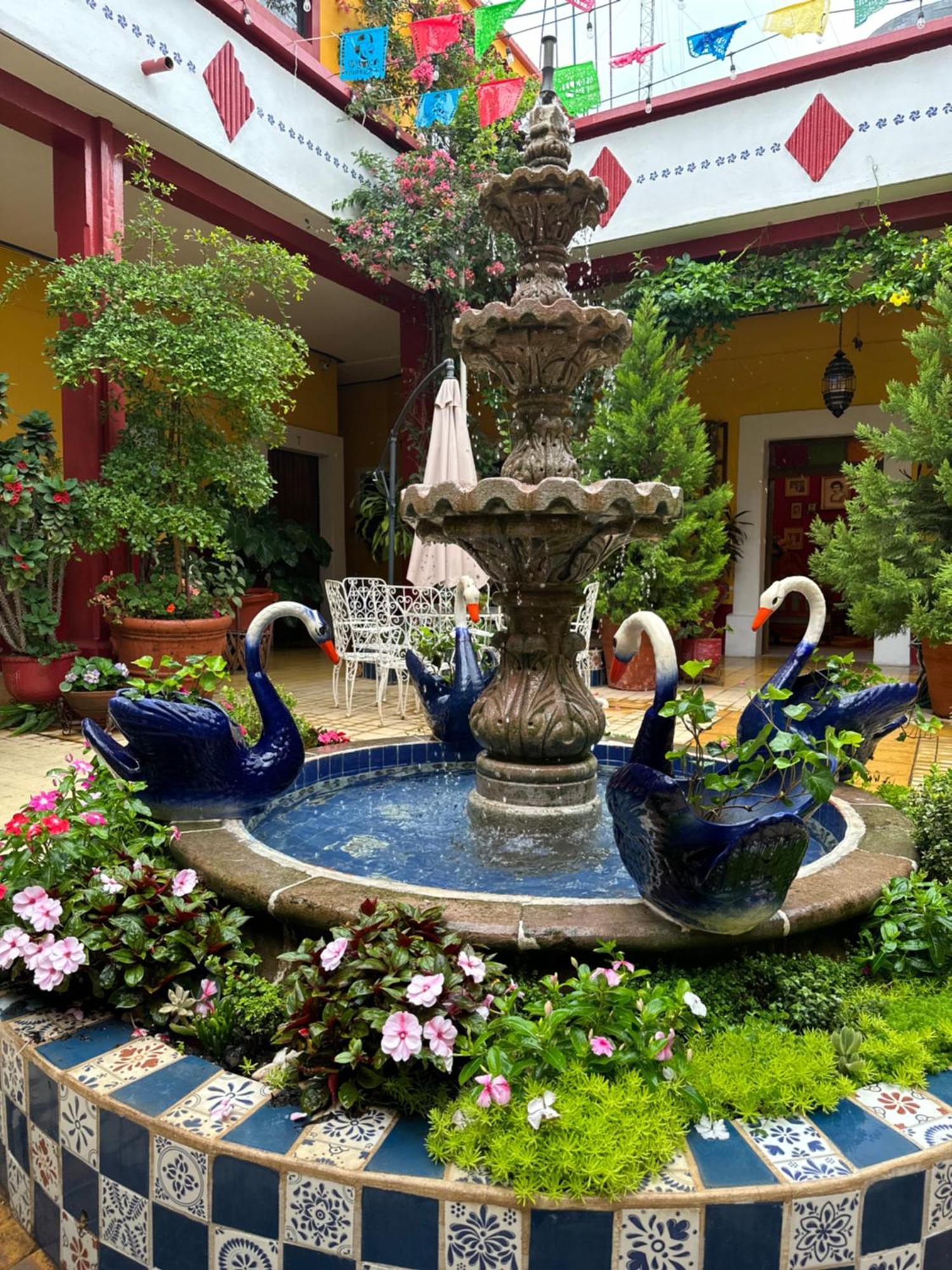 Copa De Oro Hotel Boutique Mascota Ngoại thất bức ảnh