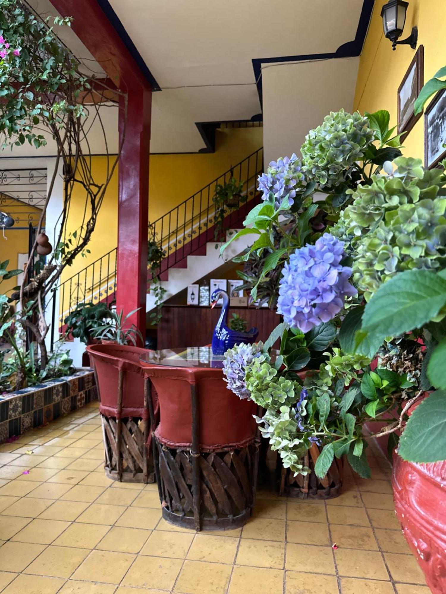 Copa De Oro Hotel Boutique Mascota Ngoại thất bức ảnh