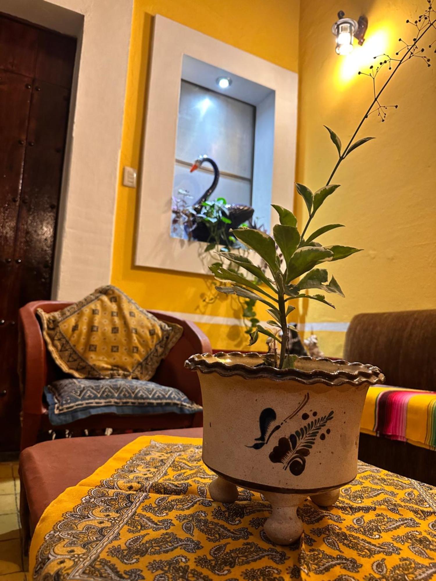 Copa De Oro Hotel Boutique Mascota Ngoại thất bức ảnh