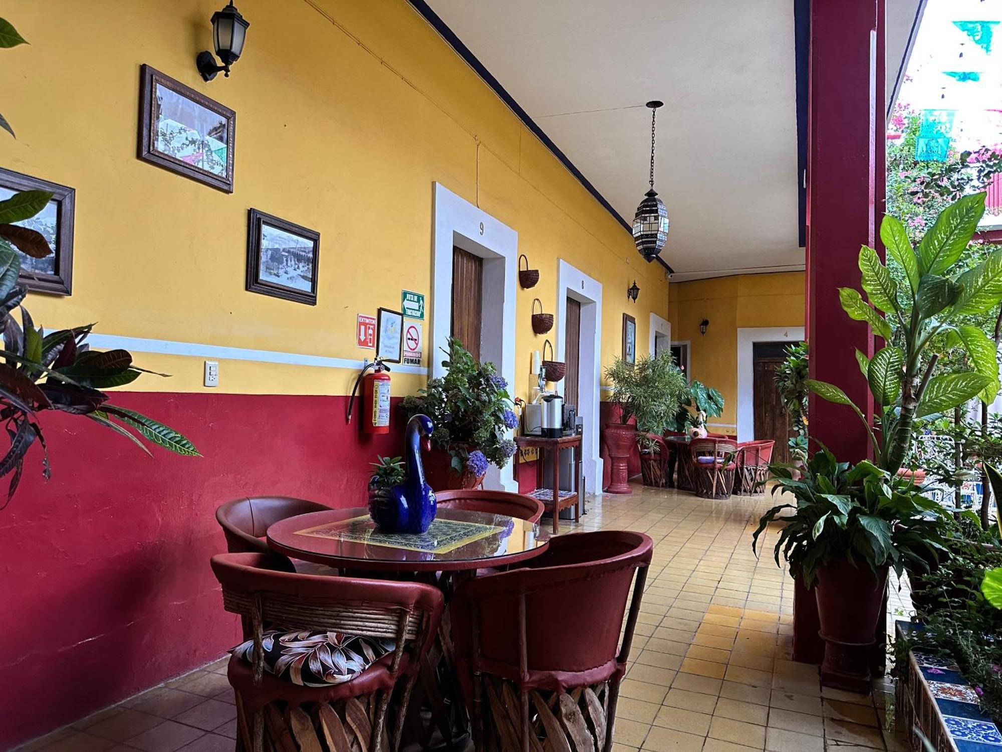 Copa De Oro Hotel Boutique Mascota Ngoại thất bức ảnh