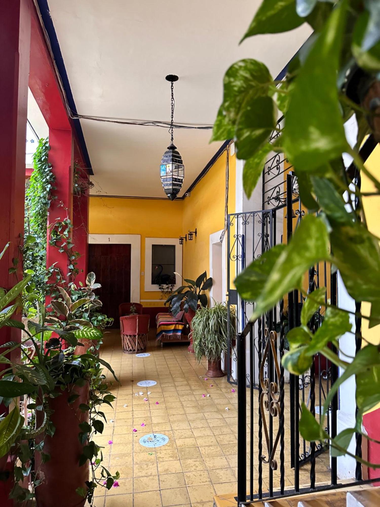 Copa De Oro Hotel Boutique Mascota Ngoại thất bức ảnh
