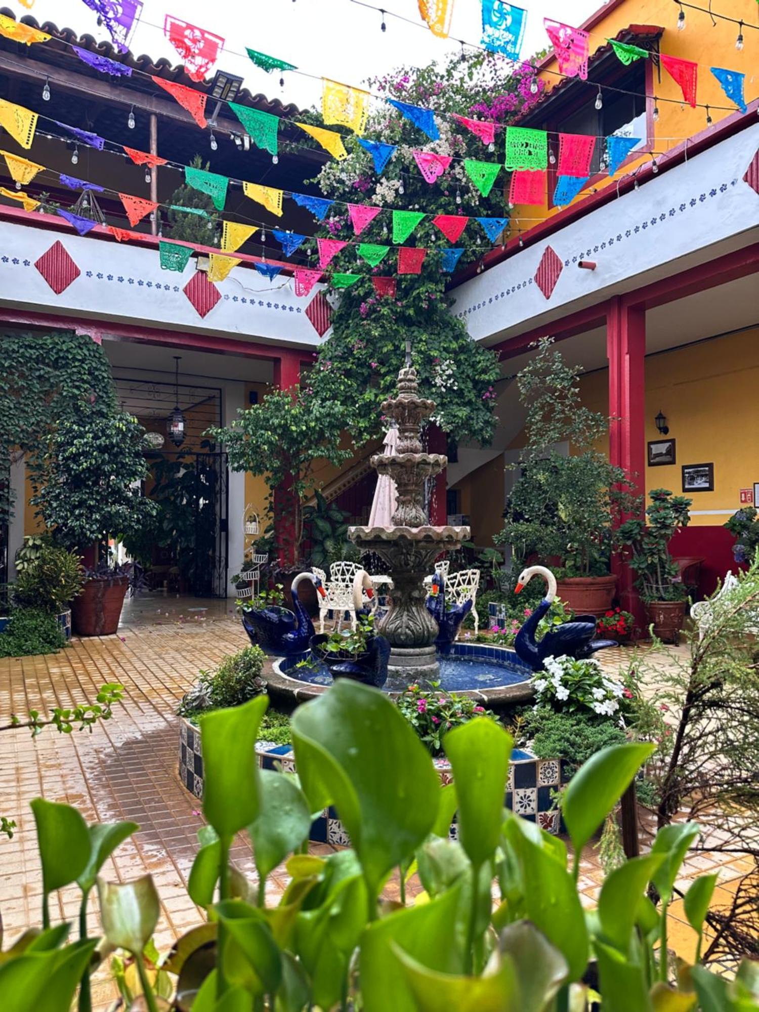 Copa De Oro Hotel Boutique Mascota Ngoại thất bức ảnh