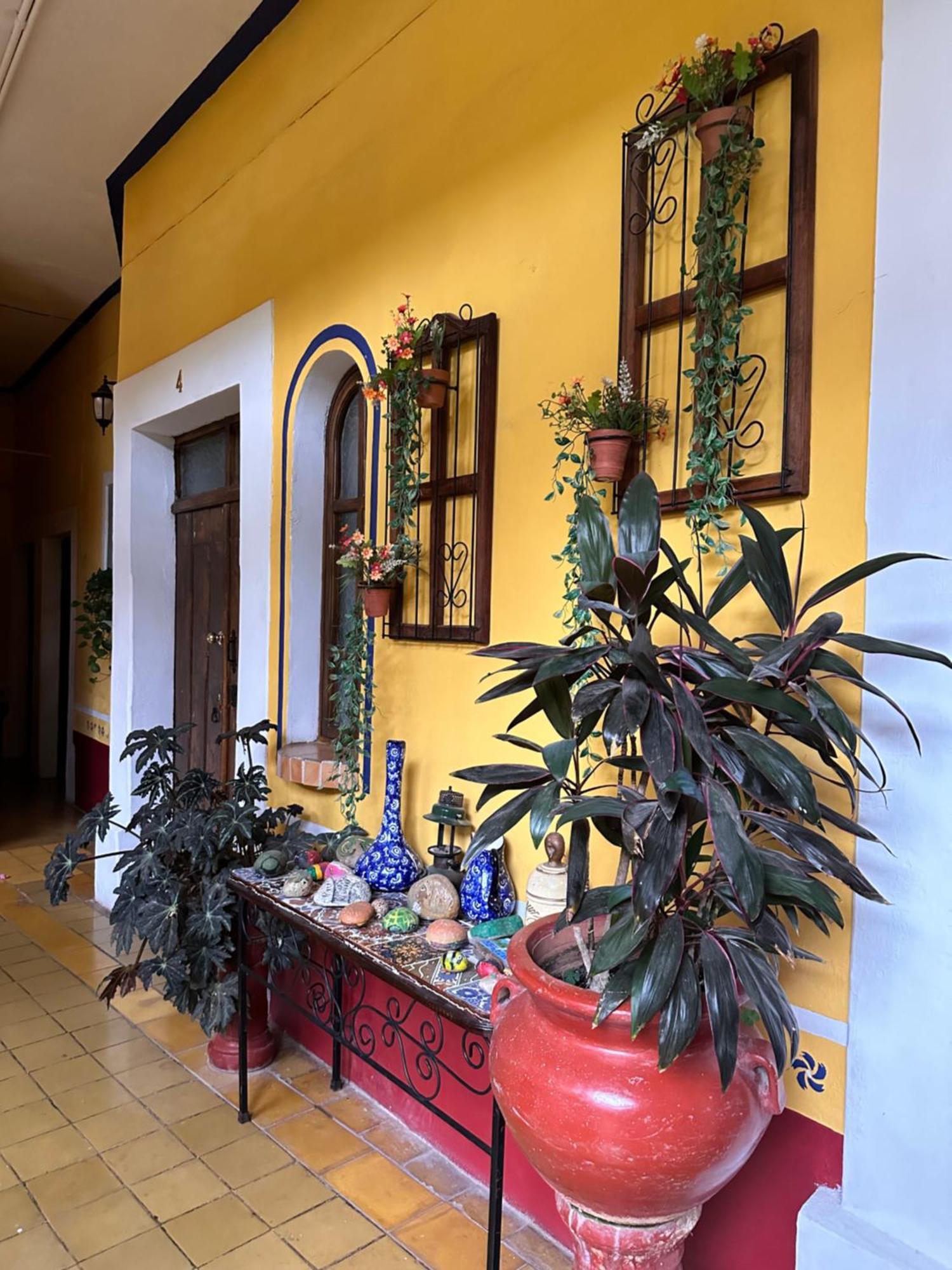 Copa De Oro Hotel Boutique Mascota Ngoại thất bức ảnh
